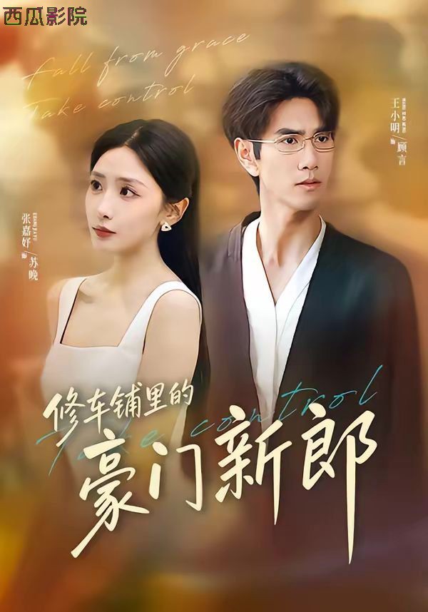 修车铺里的豪门新郎